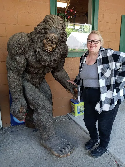 Genesee-Otter Lake Campgrounds Picture 2