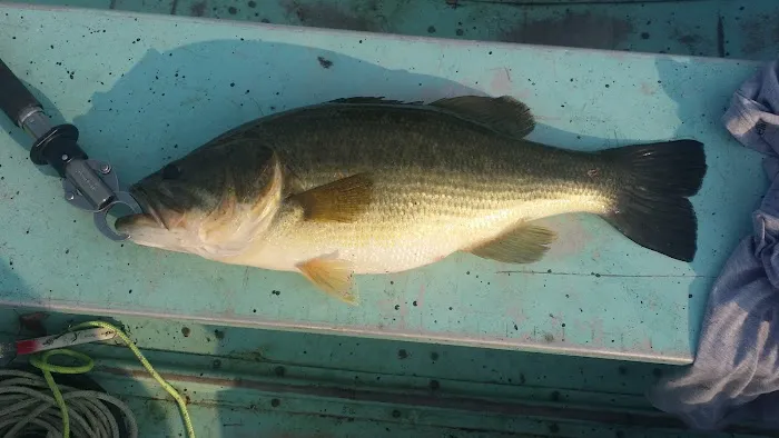 Genesee-Otter Lake Campgrounds Picture 8