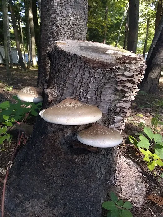 Crystal Creek Christian Campgrounds Picture 10