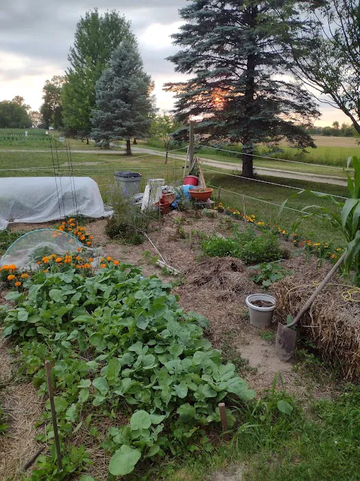 Der Happy Hallow Picture 6