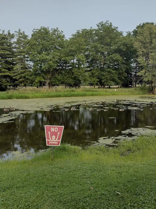 Der Happy Hallow Picture 9