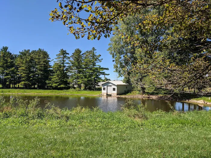 Der Happy Hallow Picture 3