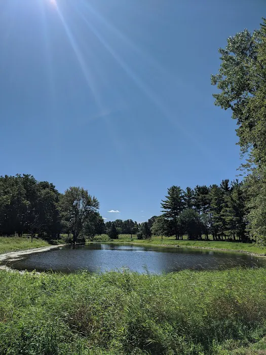 Der Happy Hallow Picture 2