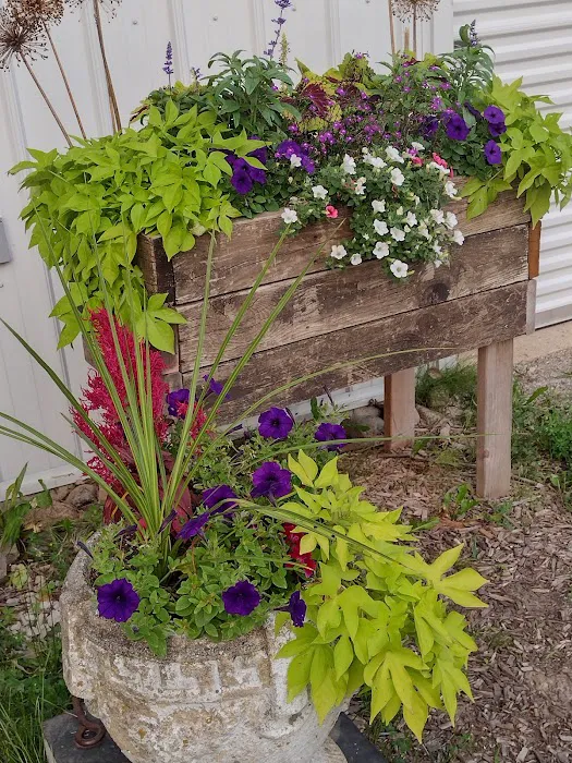 Der Happy Hallow Picture 10