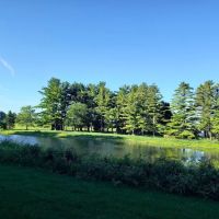 Der Happy Hallow ico