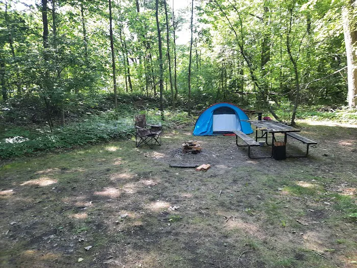 Cottonwood Campground Picture 9