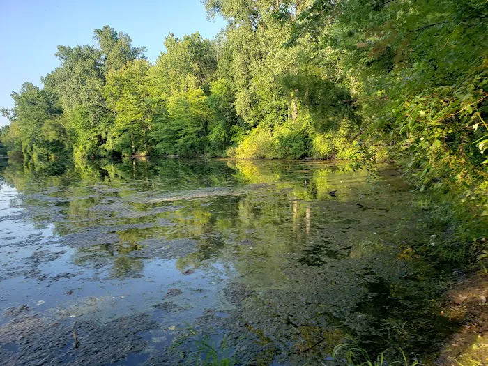 Cottonwood Campground Picture 3