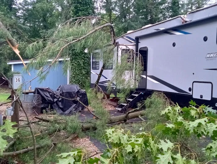 Camp Withers Picture 7