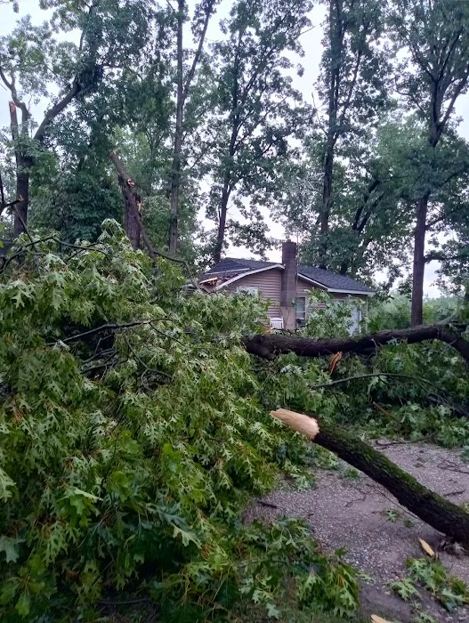 Camp Withers Picture 4