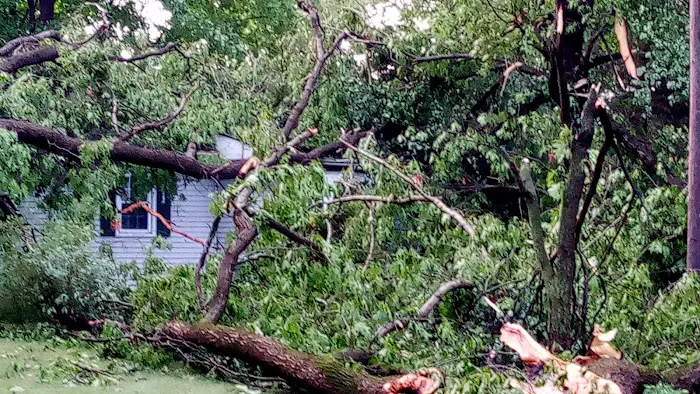 Camp Withers Picture 5