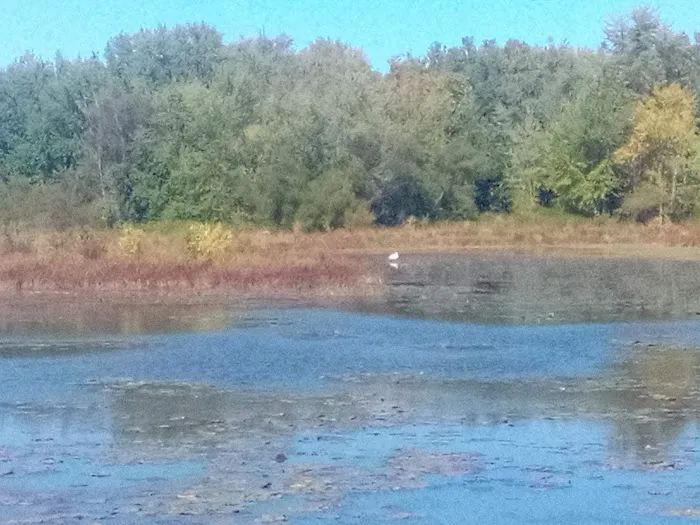 Camp Withers Picture 10