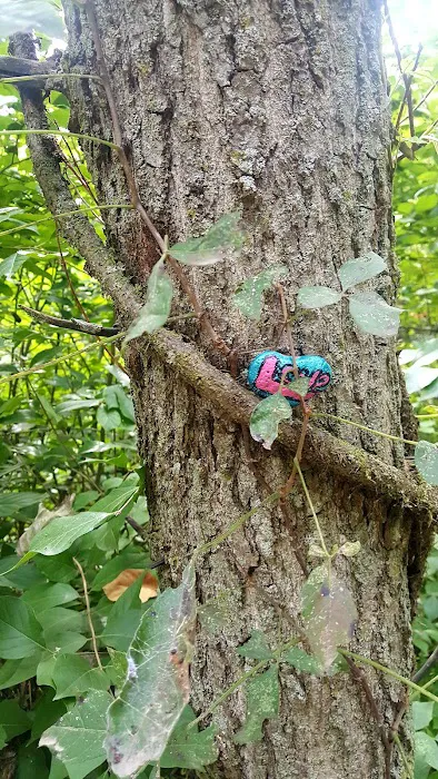 Cranberry Lake Campgrounds Picture 8