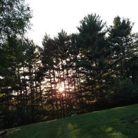 Hemlock Lake Campground ico