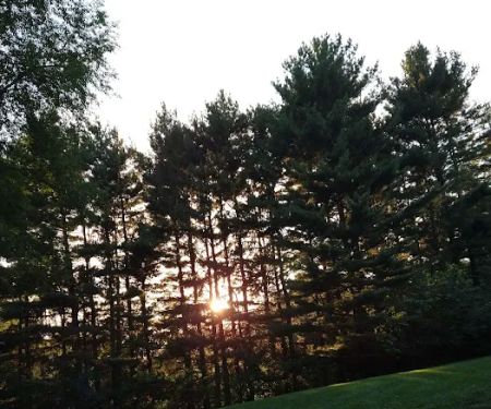 Hemlock Lake Campground