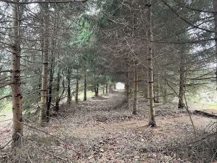 Our Daily Bread Christian Healthcare, Lifestyle center & Campground Picture 2