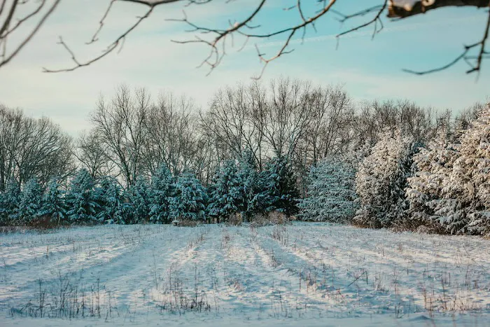 Our Daily Bread Christian Healthcare, Lifestyle center & Campground Picture 6