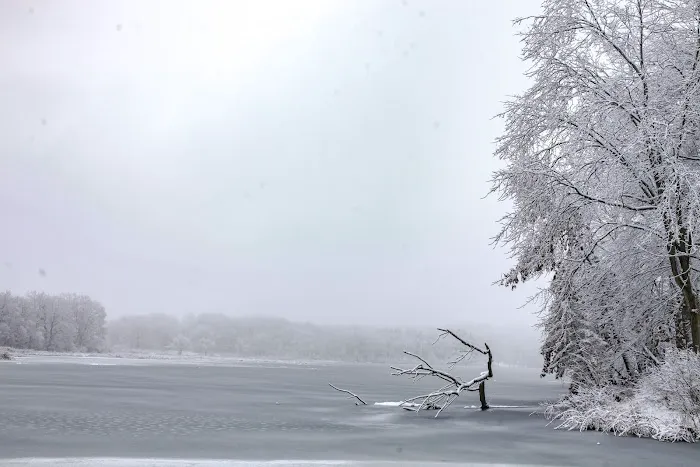 Spirit Springs Campground Picture 7