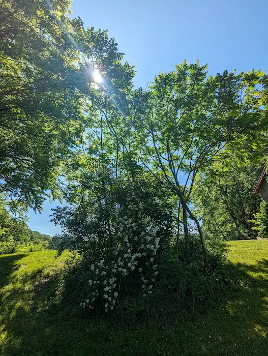 Spirit Springs Campground Picture 10