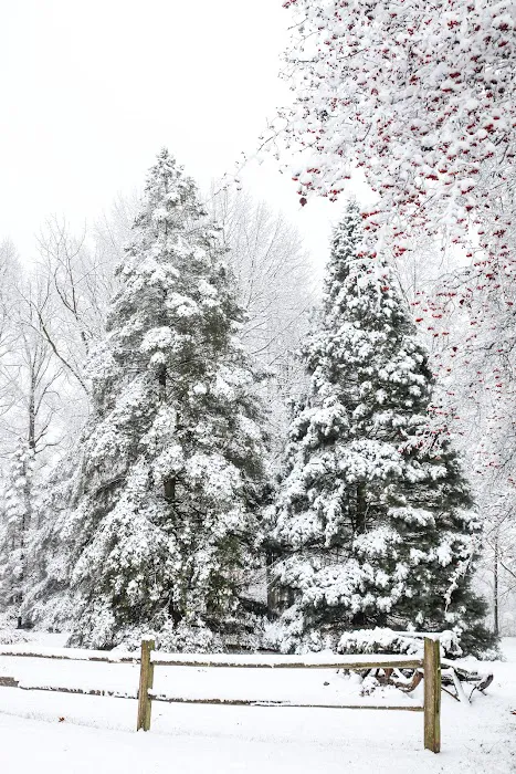 Spirit Springs Campground Picture 2