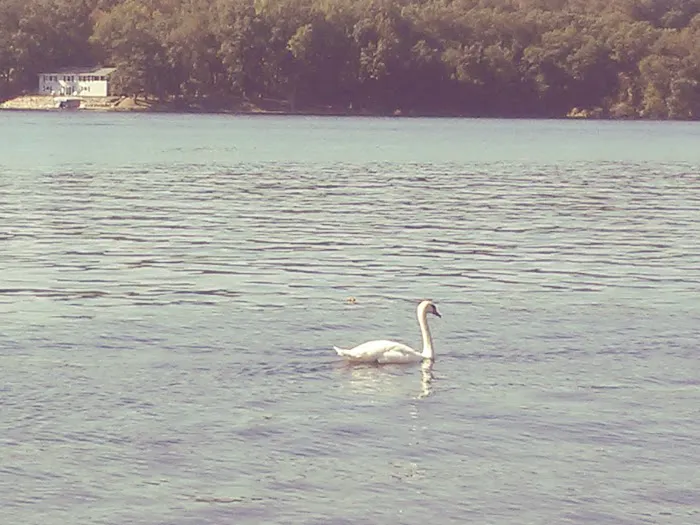 Stoney Point Trailer Pk Picture 3