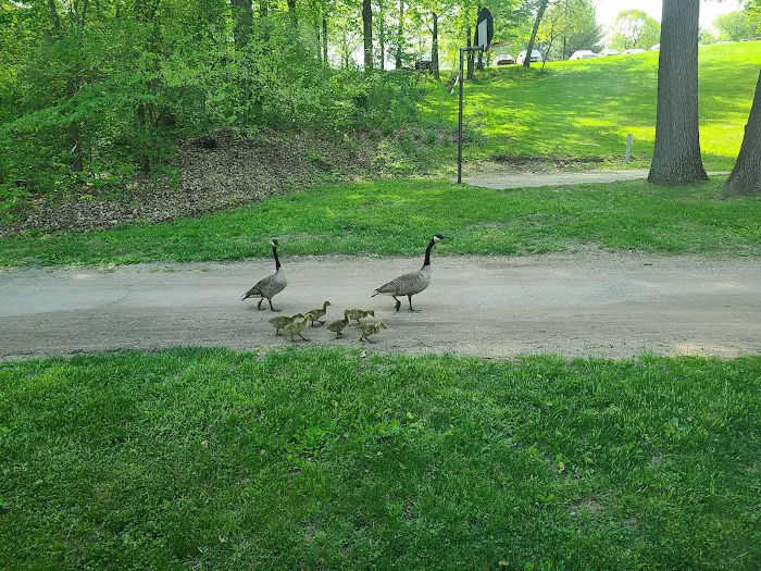 Kalamazoo Resort Picture 9