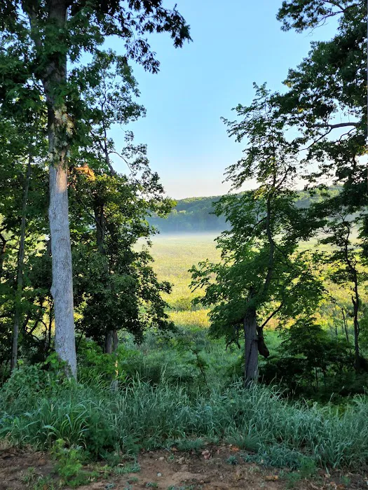 Rocky's Hideaway Picture 6