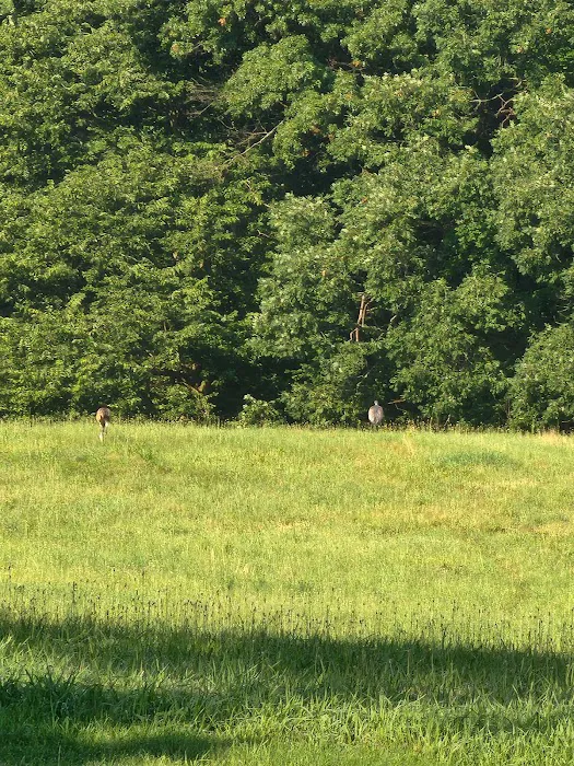 Rocky's Hideaway Picture 9