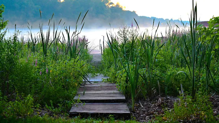 Rocky's Hideaway Picture 4