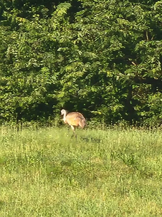 Rocky's Hideaway Picture 7