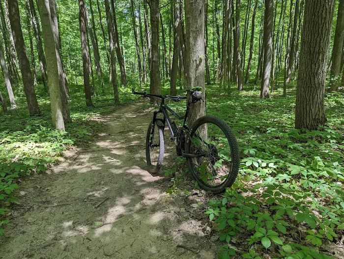 Yankee Springs Deep Lake Rustic Campground Picture 4