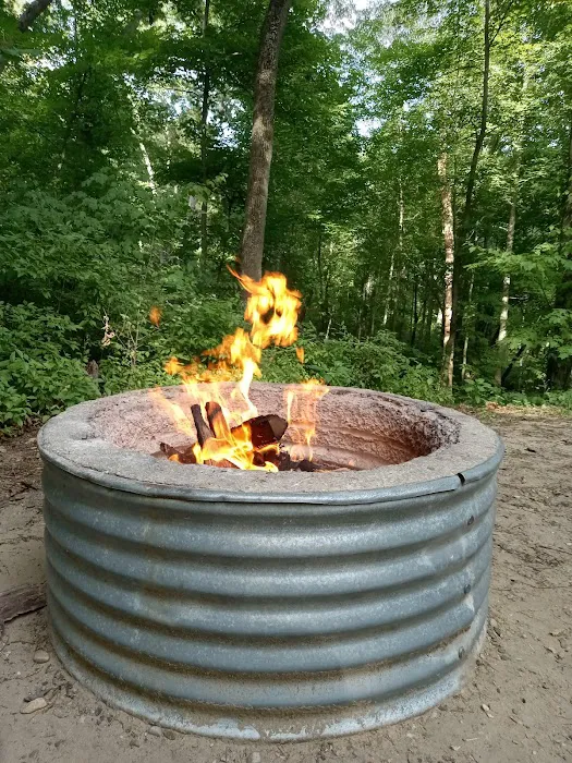 Yankee Springs Deep Lake Rustic Campground Picture 8