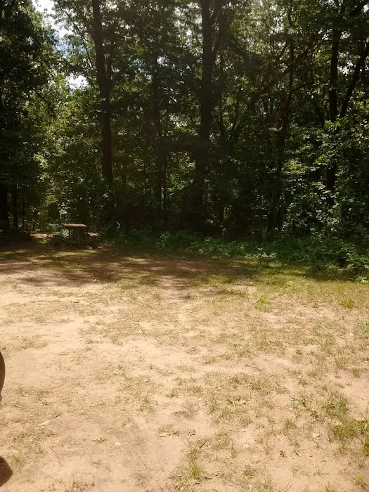 Yankee Springs Deep Lake Rustic Campground Picture 1