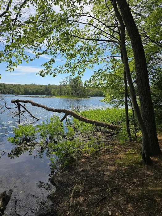 Welcome Woods Campground Picture 6