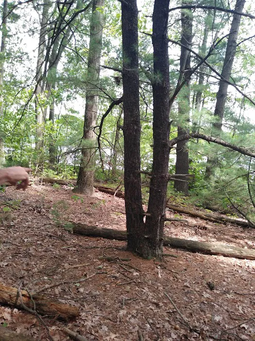 Long Lake Outdoor Center Picture 7