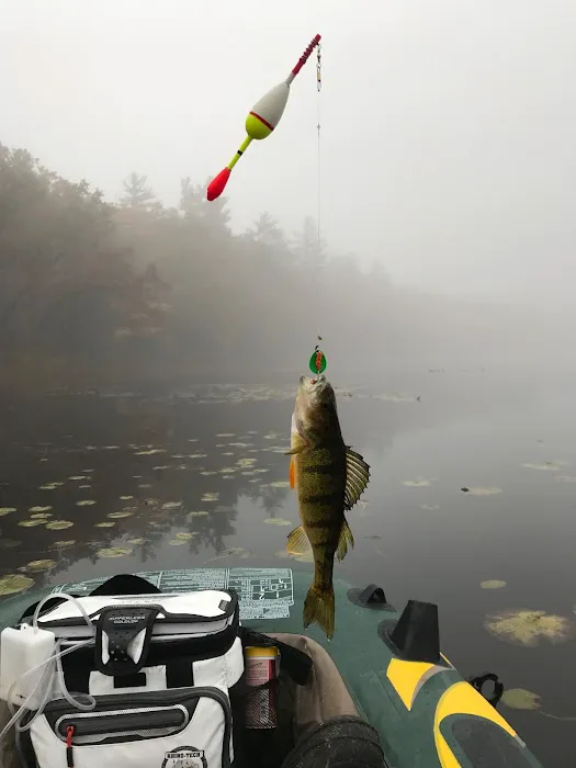 Yankee Springs Recreation Area - Deer Lodge Picture 10