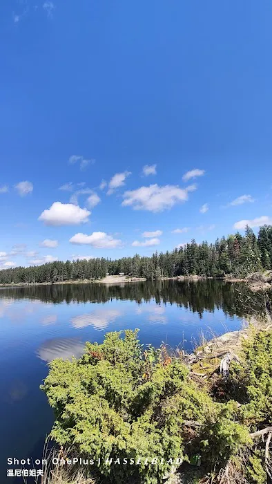 Shoe Lake Public Access Picture 2