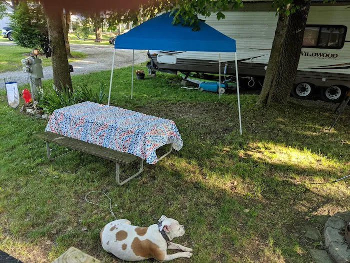 JT'S Lakeside Campground Picture 9