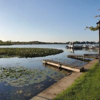 Camp and Fish LLC ico