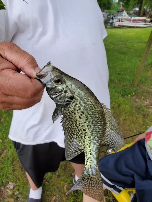 Camp and Fish LLC Picture 5