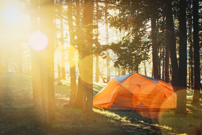 GloWood Campground Picture 8