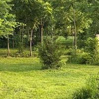 Mud Creek Campgrounds ico