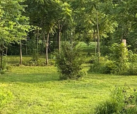 Mud Creek Campgrounds