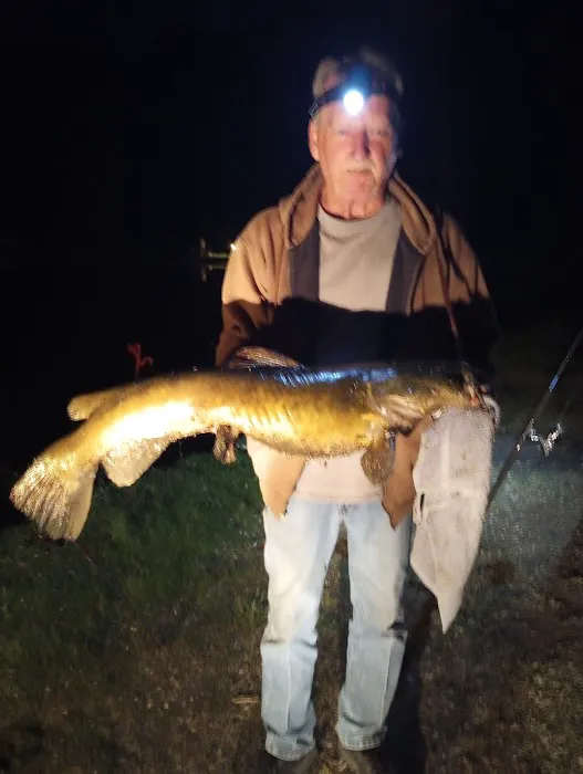 Springhill Campground Picture 3