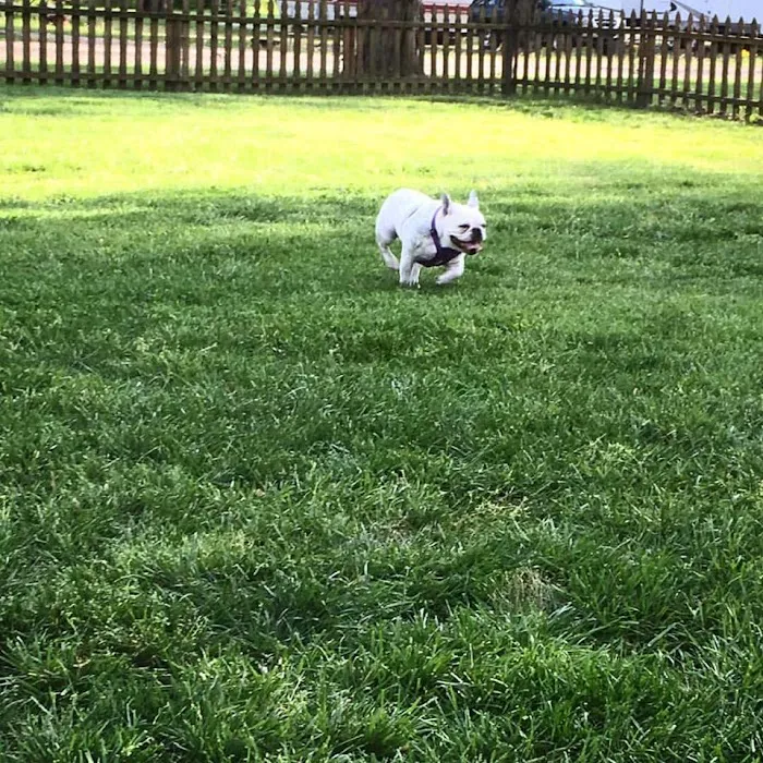 Indianapolis KOA Holiday Picture 7