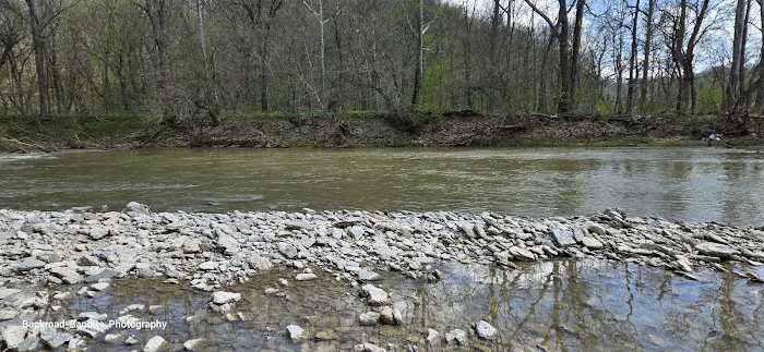 Callis Grove Campground Picture 3