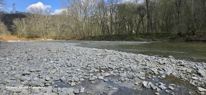 Callis Grove Campground Picture 2