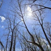 Callis Grove Campground ico