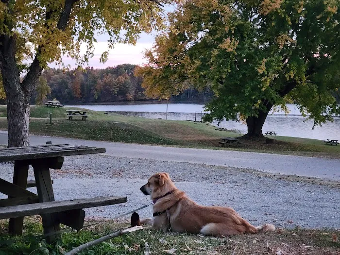 Lake Jericho Recreational Area Picture 3