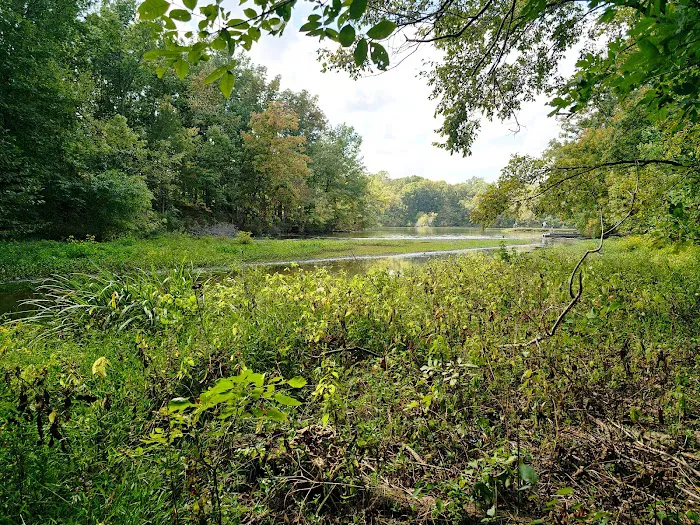 Lake Jericho Recreational Area Picture 10