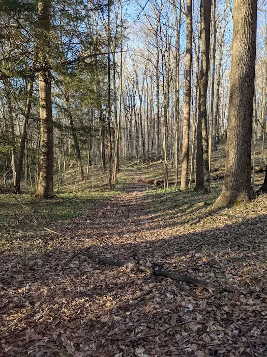 Deer Creek Campground Picture 6